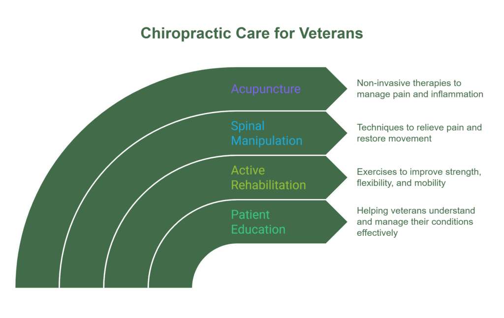 A chart image for chiropractic care for veterans.